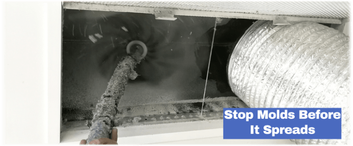 Air Duct Mold Removal in Katy