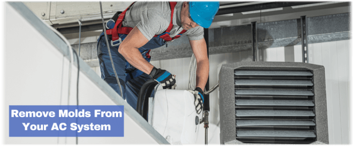 HVAC Mold Removal Katy